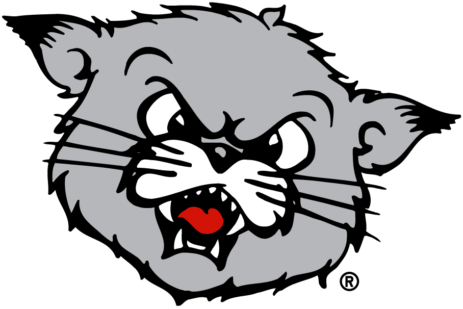 Cincinnati Bearcats 1990-2005 Partial Logo iron on transfers for fabric